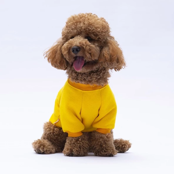 PawStar Sarı Lahti Sweat Küçük ve Orta Irk - 4
