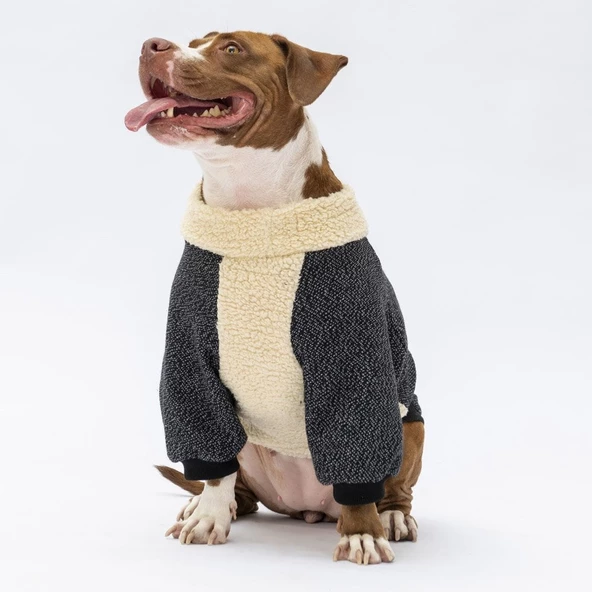 PawStar Siyah Kırçıllı Alaska Büyük Irk Sweat - 3