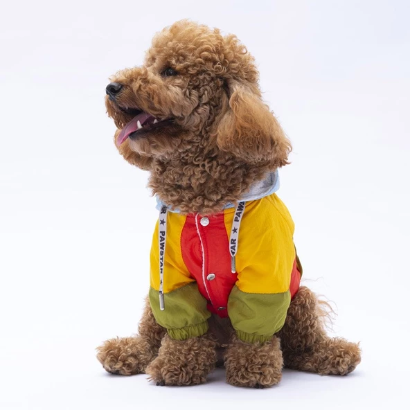 PawStar Vivid Kauai Yağmurluk Küçük ve Orta Irk - 3