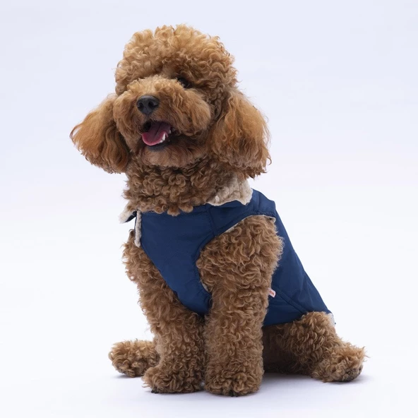 PawStar Lacivert Yukon Kolsuz Yelek Küçük ve Orta Irk - 3