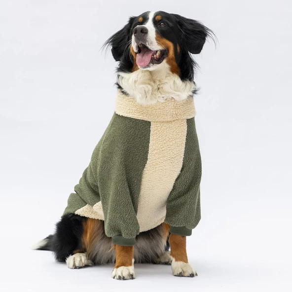 PawStar Haki Alaska Büyük Irk Sweat - Resim 3