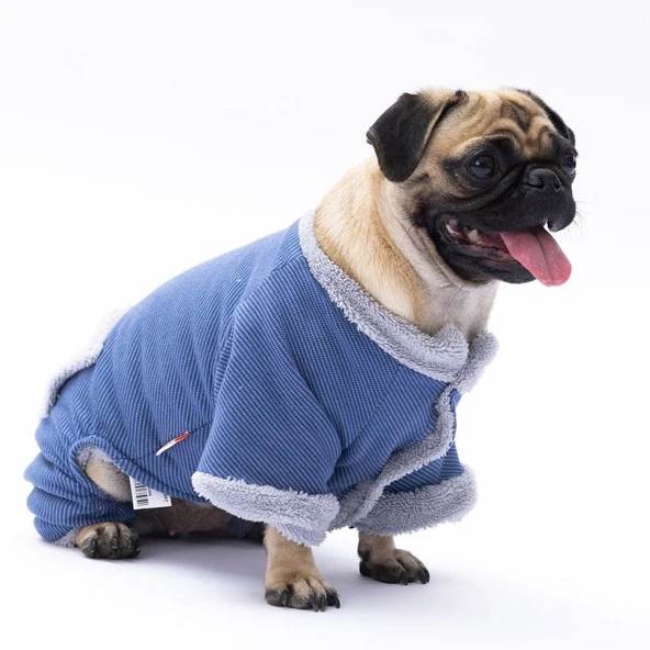 PawStar Mavi Alabama Tulum Küçük ve Orta Irk - 2