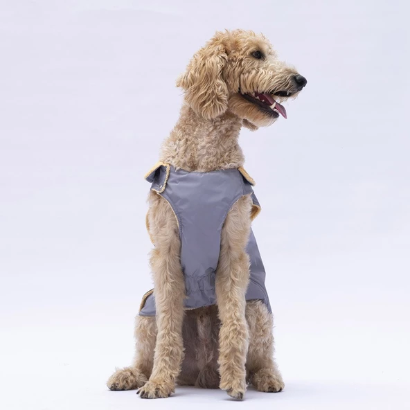 PawStar Gri Yukon Büyük Irk Kolsuz Yelek - 2