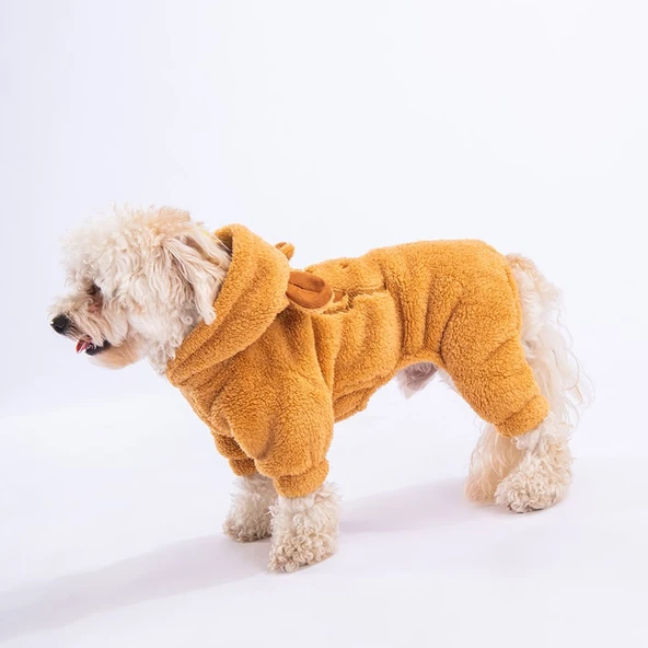 PawStar Kahverengi Koala Küçük Irk Tulum - 2