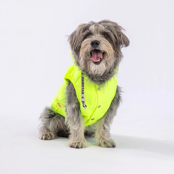 PawStar Neon Sarı Railway Küçük ve Orta Irk Yelek - 3