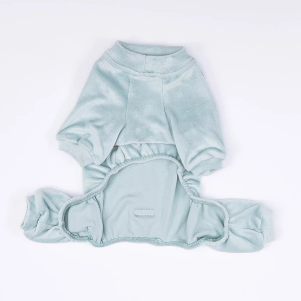 PawStar Mint Angers Tulum Küçük ve Orta Irk - 7