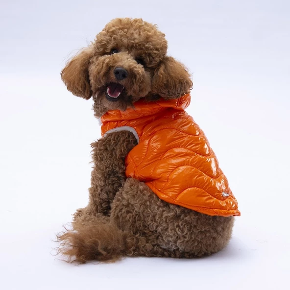 PawStar Turuncu Light Wave Yelek Küçük ve Orta Irk - Resim 3