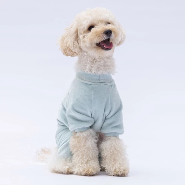 PawStar Mint Angers Tulum Küçük ve Orta Irk - 3