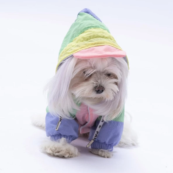 PawStar Pastel Kauai Yağmurluk Küçük ve Orta Irk - 4