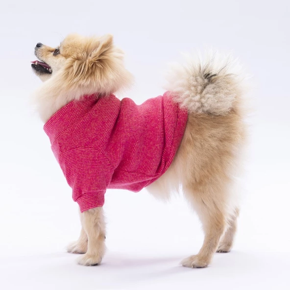 PawStar Pembe Merino Sweat Küçük ve Orta Irk - 2
