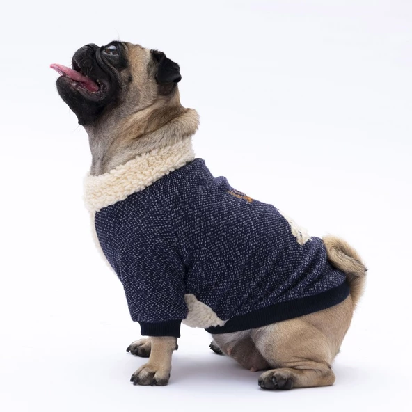 PawStar Lacivert Alaska Sweat Küçük ve Orta Irk - Resim 4