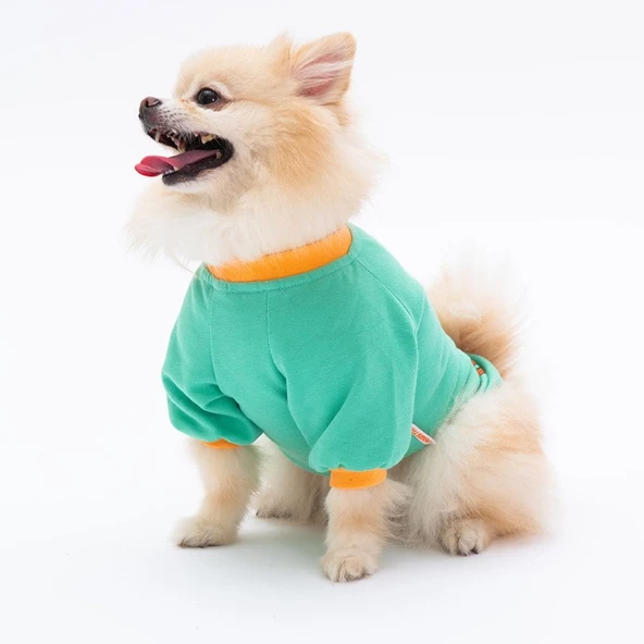 PawStar Mint Bone Hunter Sweat Küçük ve Orta Irk - 2