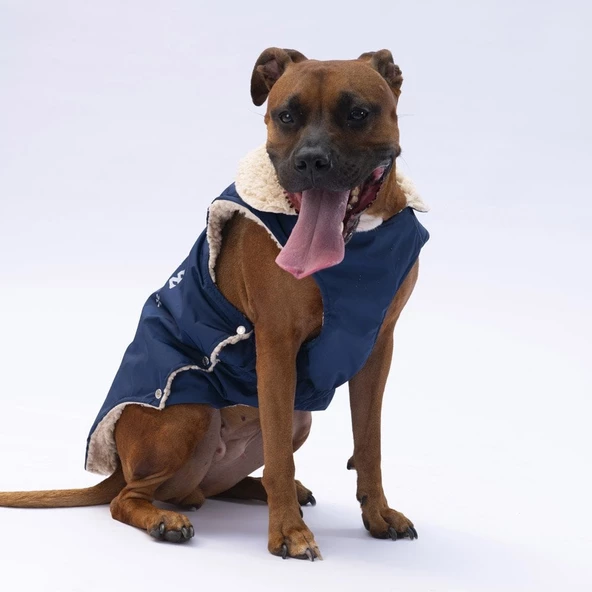 PawStar Lacivert  Yukon Büyük Irk Kolsuz Yelek - 2