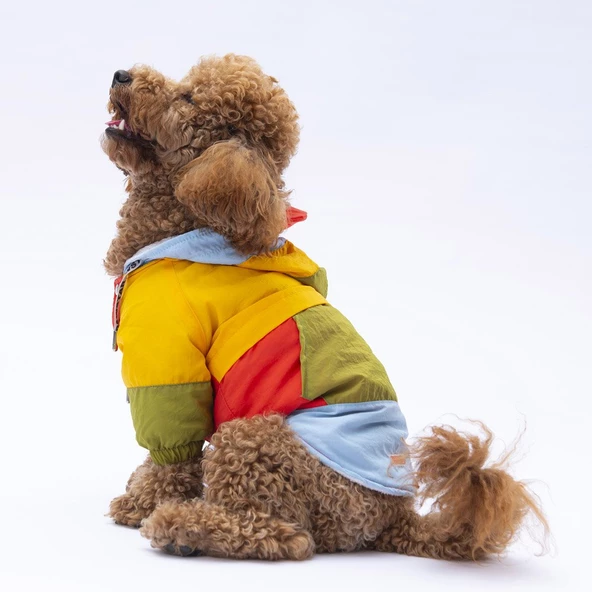 PawStar Vivid Kauai Yağmurluk Küçük ve Orta Irk