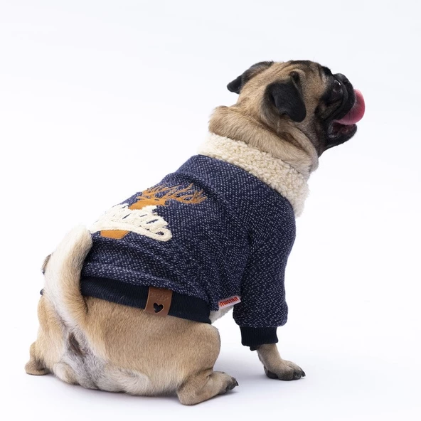 PawStar Lacivert Alaska Sweat Küçük ve Orta Irk - Resim 3