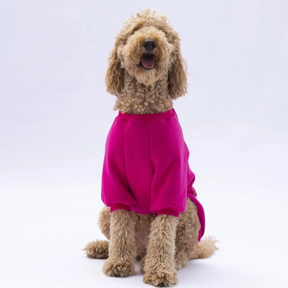 PawStar Pembe Carmel Büyük Irk Sweat - 2