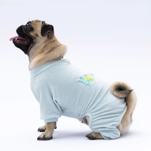 PawStar Mint Angers Tulum Küçük ve Orta Irk - 2