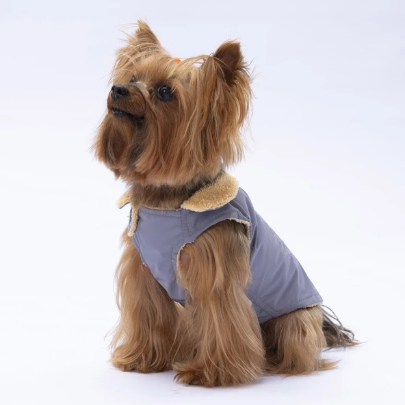PawStar Gri Yukon Kolsuz Yelek Küçük ve Orta Irk - 3