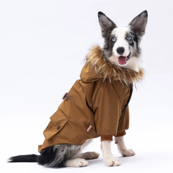 PawStar Camel Chrles Büyük Irk Yağmurluk