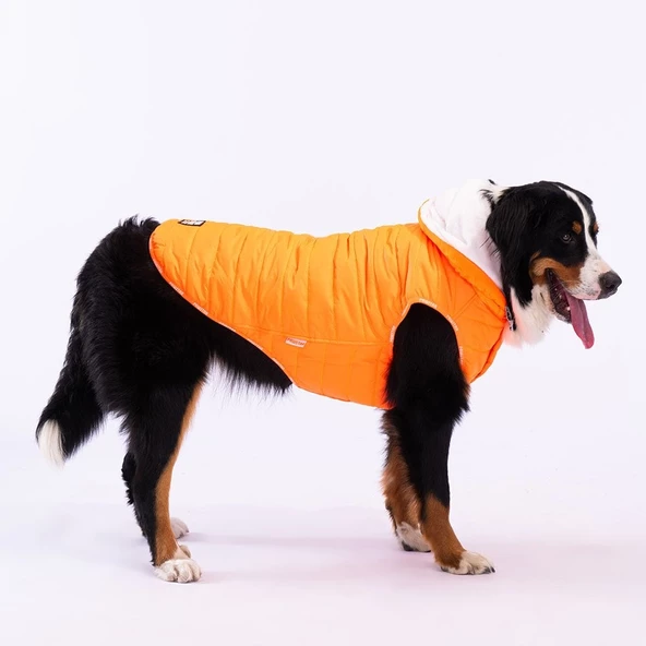 PawStar Neon Turuncu Railway Büyük Irk Yelek - Resim 4