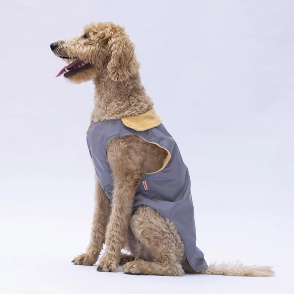 PawStar Gri Yukon Büyük Irk Kolsuz Yelek - 4