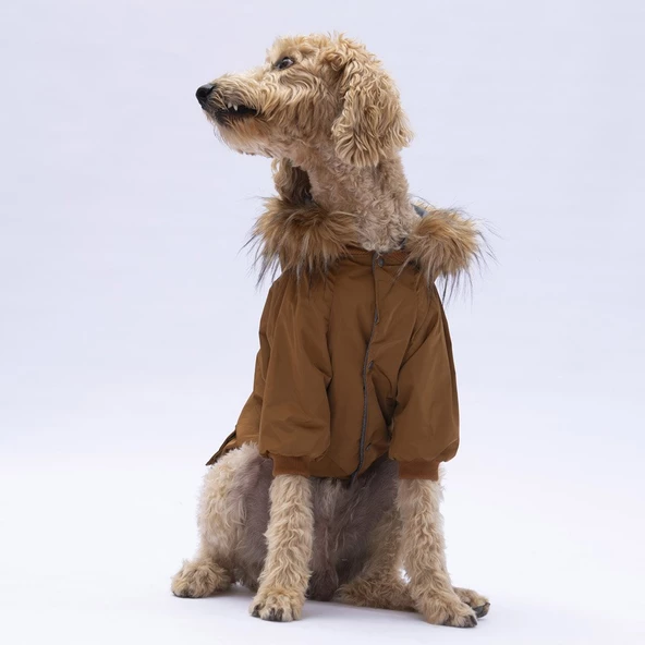PawStar Camel Chrles Büyük Irk Yağmurluk - 5