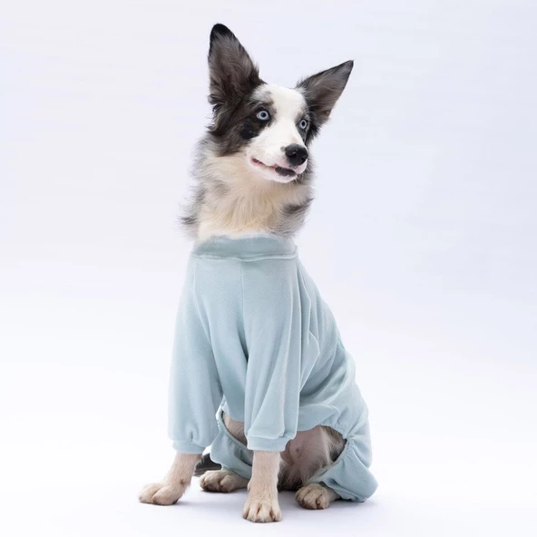 PawStar Mint Angers Büyük Irk Tulum - Resim 4