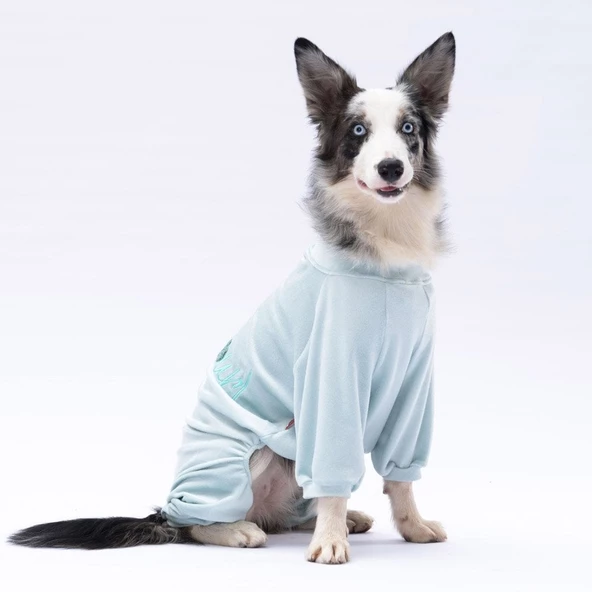 PawStar Mint Angers Büyük Irk Tulum - Resim 3