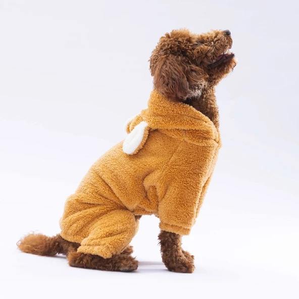 PawStar Kahverengi Tapeti Tulum Küçük ve Orta Irk - 2
