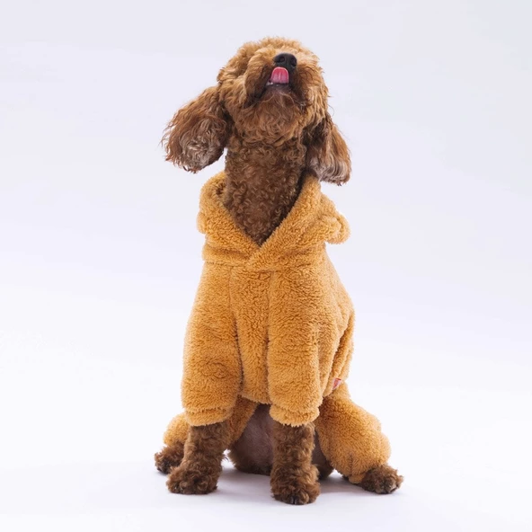 PawStar Kahverengi Tapeti Tulum Küçük ve Orta Irk - 3