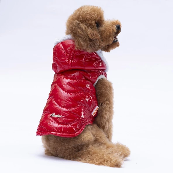 PawStar Kırmızı Light Wave Yelek Küçük ve Orta Irk - Resim 3