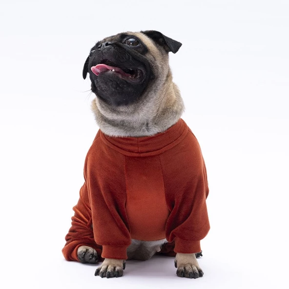 PawStar Kiremit Angers Tulum Küçük ve Orta Irk - 3