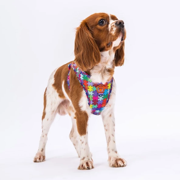 PawStar  Airmesh Puzzle Göğüs Tasması - 4