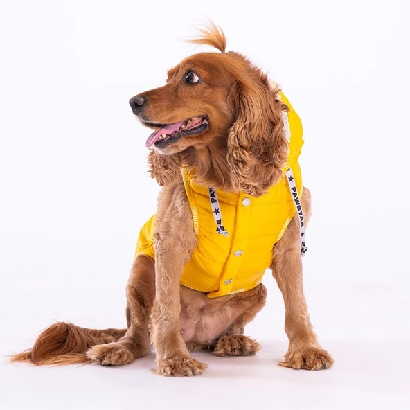 PawStar Sarı Railway Küçük ve Orta Irk Yelek - 2