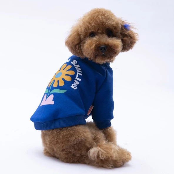 PawStar Sax Mavi Lahti Sweat Küçük ve Orta Irk