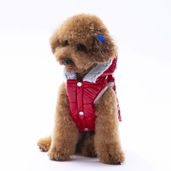 PawStar Kırmızı Light Wave Yelek Küçük ve Orta Irk - Resim 2