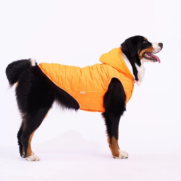 PawStar Neon Turuncu Railway Büyük Irk Yelek ürün görseli