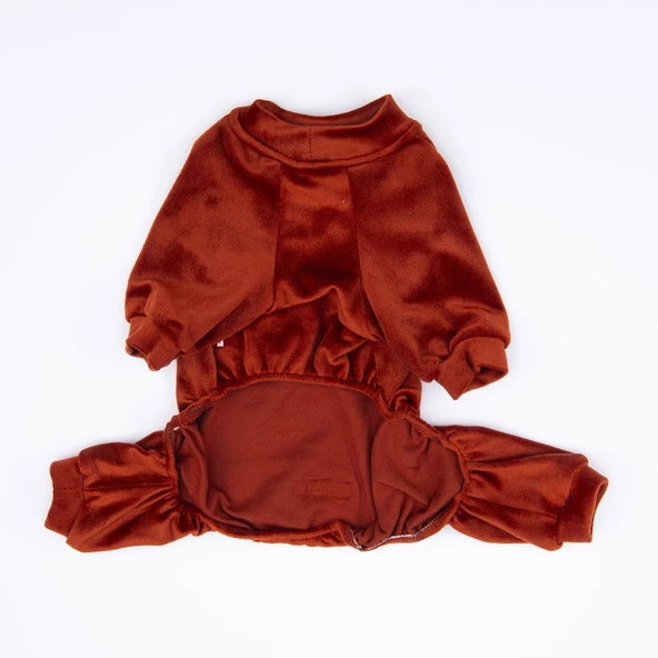 PawStar Kiremit Angers Büyük Irk Tulum - 6