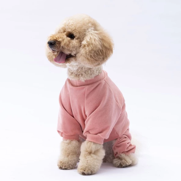PawStar Rose Angers Tulum Küçük ve Orta Irk - 4