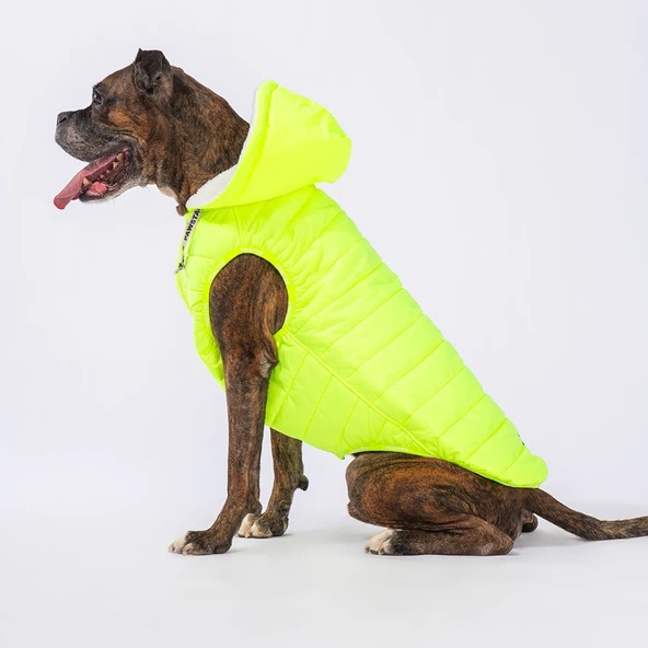PawStar Neon Sarı Railway Büyük Irk Yelek - 2