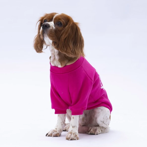 PawStar Pembe Lahti Sweat Küçük ve Orta Irk - 3