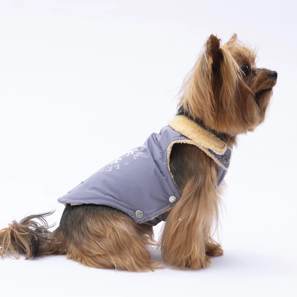 PawStar Gri Yukon Kolsuz Yelek Küçük ve Orta Irk - 4