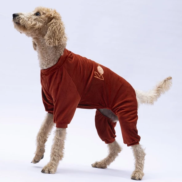 PawStar Kiremit Angers Büyük Irk Tulum - 3