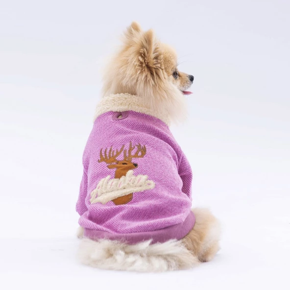 PawStar Pembe Alaska Sweat Küçük ve Orta Irk ürün görseli