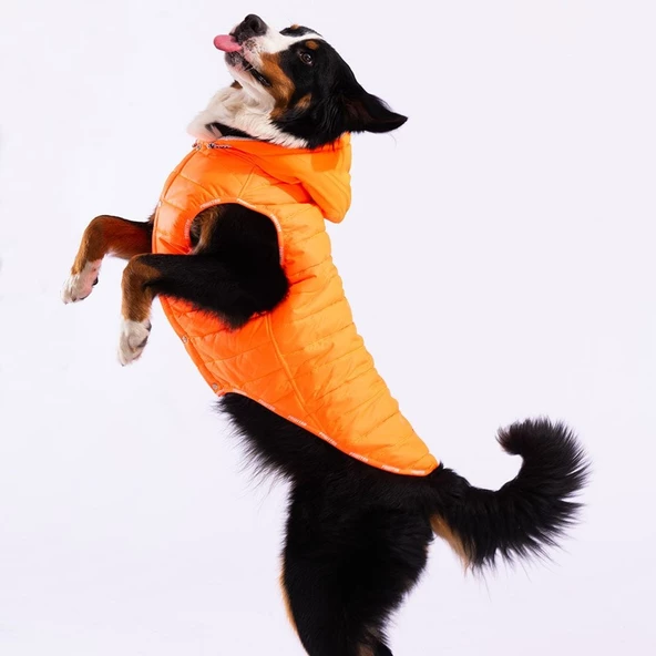 PawStar Neon Turuncu Railway Büyük Irk Yelek - Resim 2