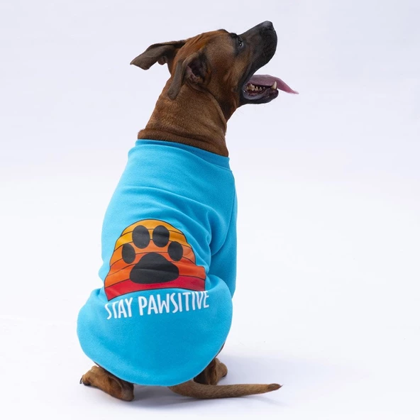 PawStar Turkuaz Carmel Büyük Irk Sweat - Resim 2
