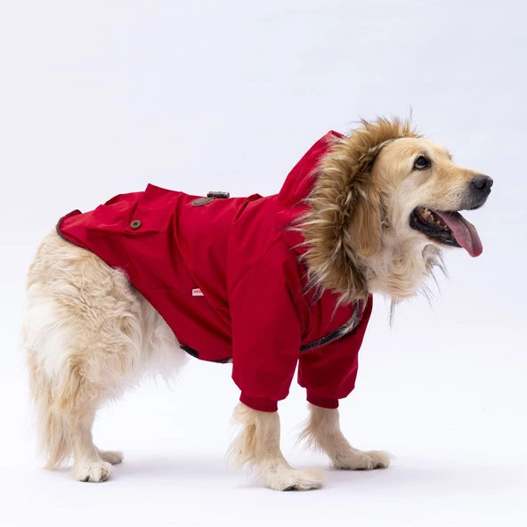 PawStar Kırmızı Charles Büyük Irk Yağmurluk Mont - 4