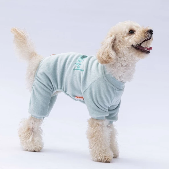 PawStar Mint Angers Tulum Küçük ve Orta Irk - 4