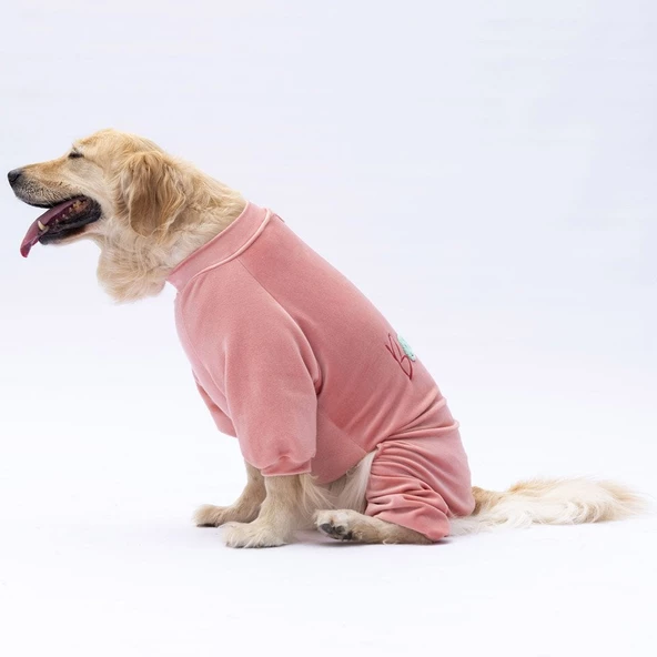 PawStar Rose Angers Büyük Irk Tulum - 3