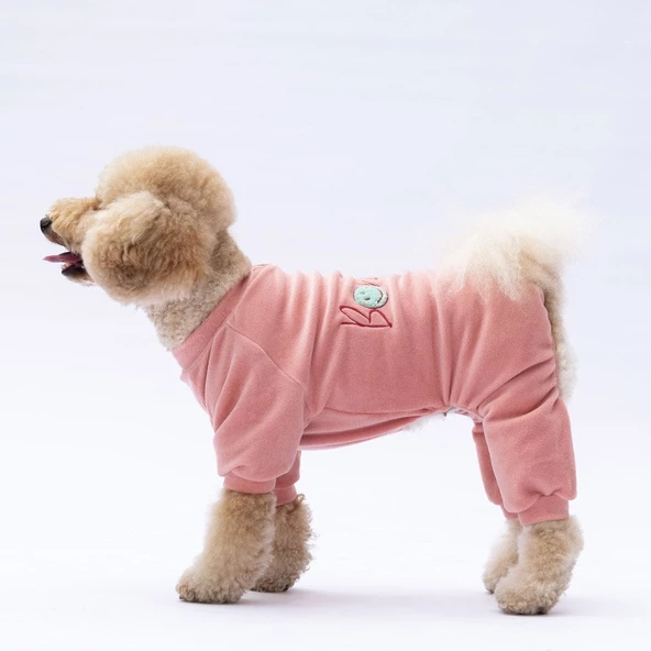 PawStar Rose Angers Tulum Küçük ve Orta Irk - 2